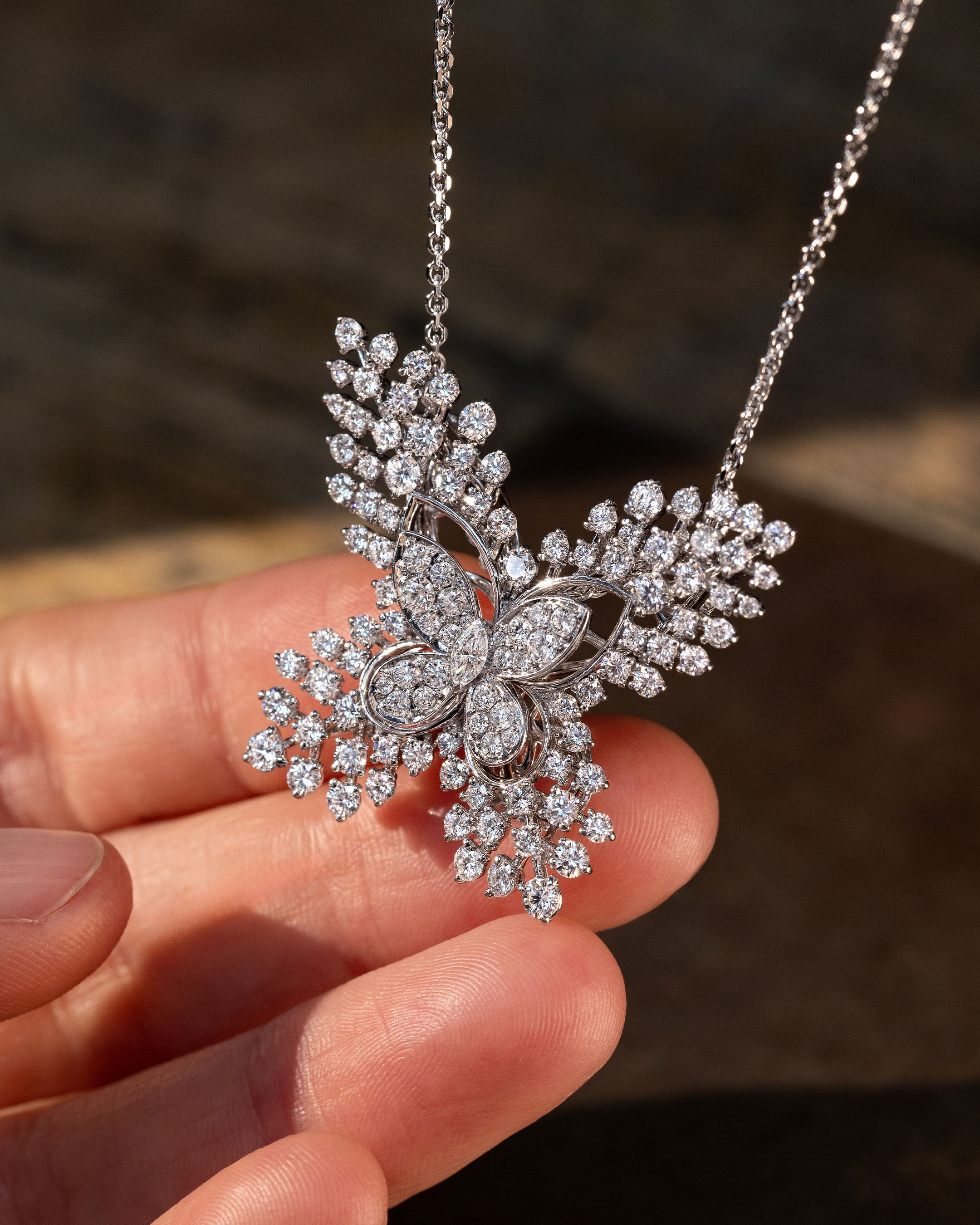 ダフネ, Butterfly Brooch - Graff